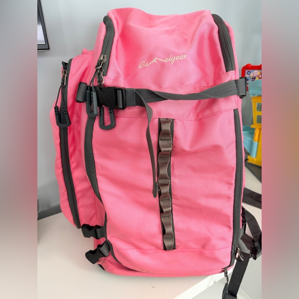Ski bag